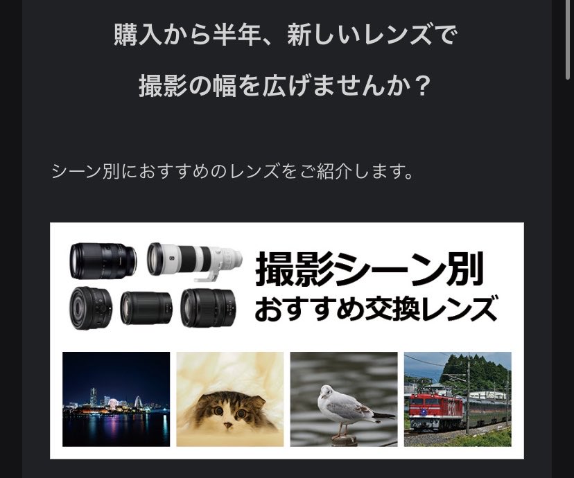 フォトジェニック小野 tweet media