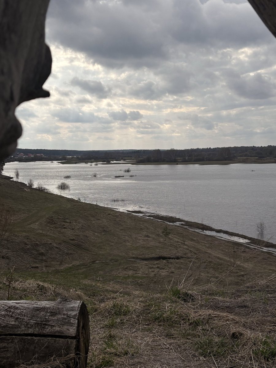 питаврите tweet media