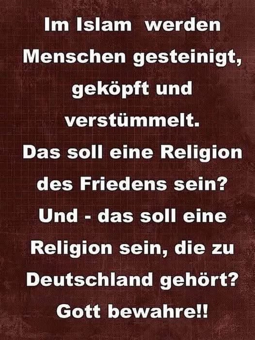 Ralf Rat tweet media