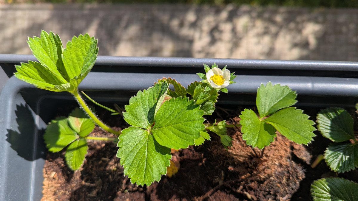 Auf Punkt und Komma tweet media