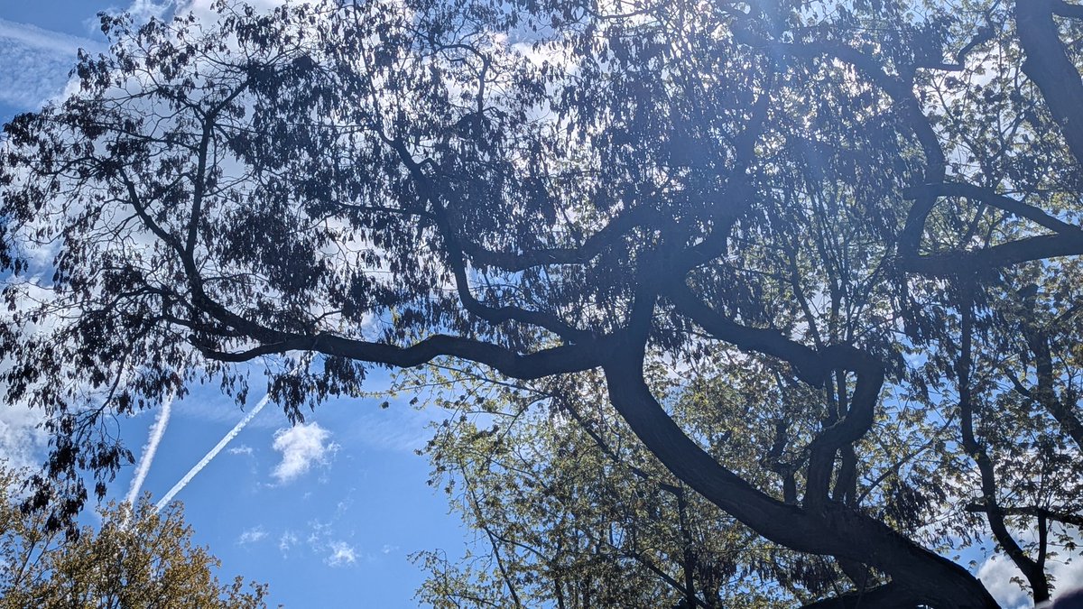 Auf Punkt und Komma tweet media