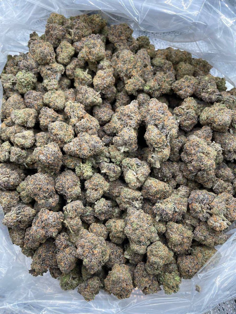 jaysodropz's tweet image. Covington 859 and Frankfort 502 plug weed zaza weed loud ⛽💨 at sunset 🏙️ Who else hitting weed gas plug tonight? Drop city 👇🌿 #Weed #Gas #KY420 #Covington #Frankfort