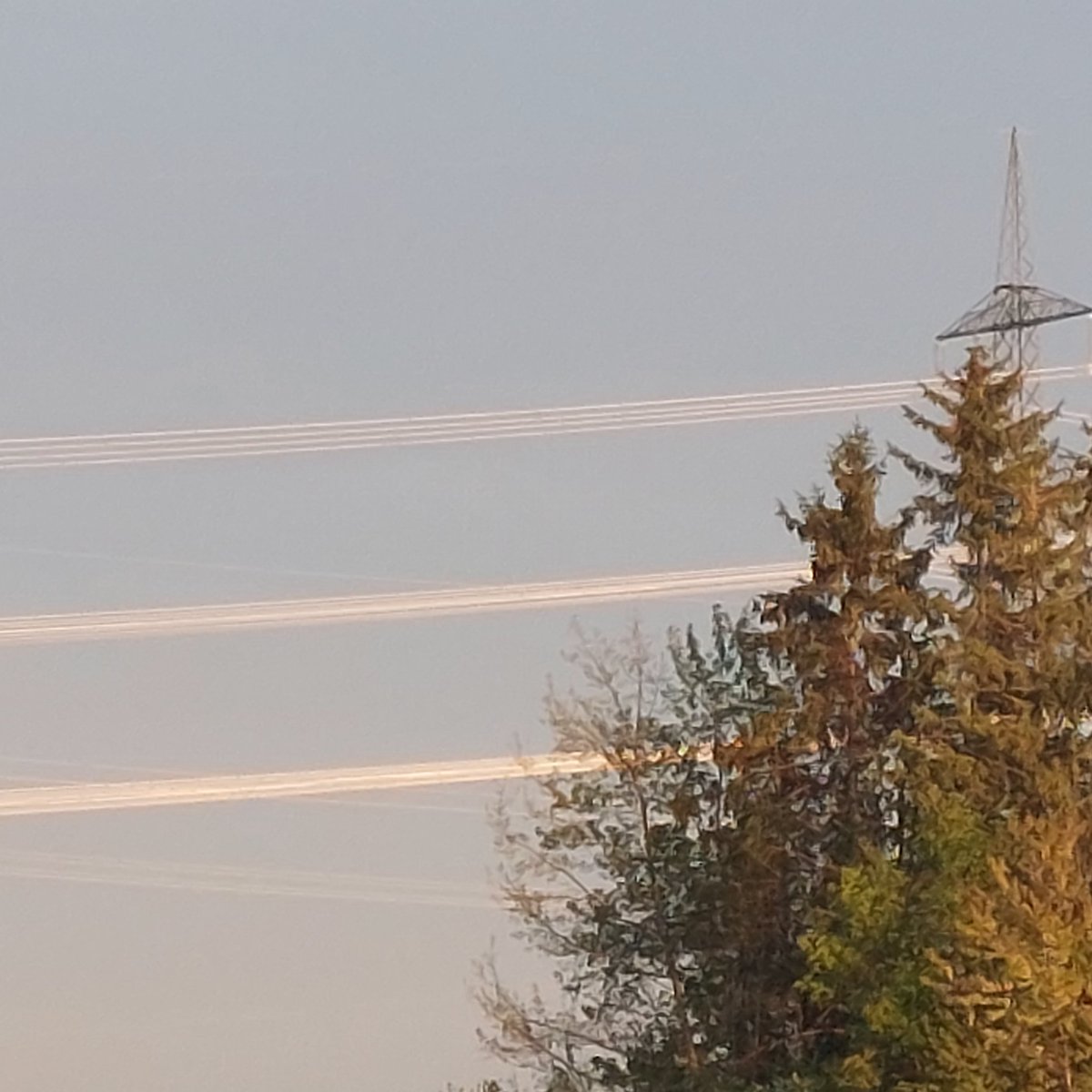 Winfried Eder tweet media