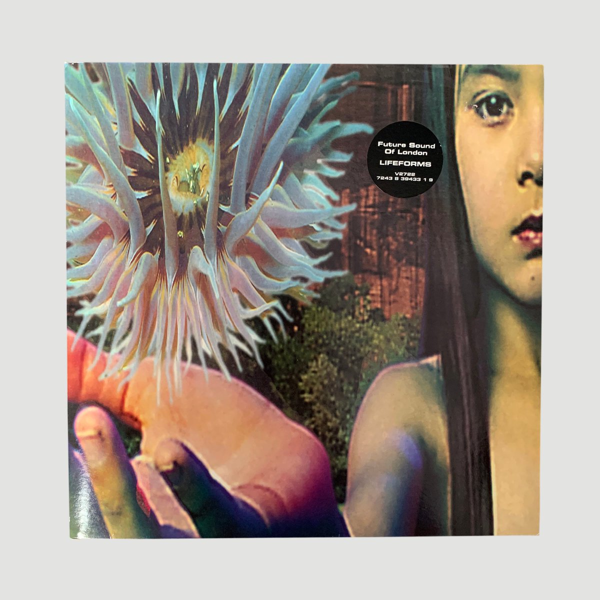 TweakyBird303's tweet photo. @discogs https://t.co/7BIVMHp80c