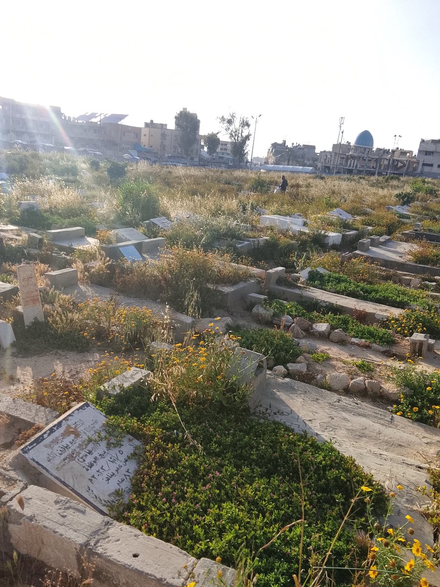 SamiGaza80's tweet photo. Today I visited my family and relatives who were martyred in the war of extermination on Gaza. We are close to them because our situation is dire. You have the power to save us from it. @60E551CotiN5M0 @dunciads @ https://t.co/ITC16ahHFp