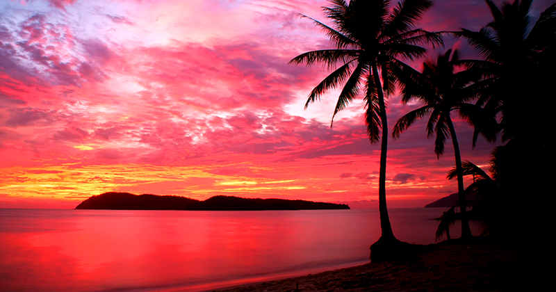 tropicalitytrvl's tweet image. Pic of the Night…Sunset Serenity 💗💜💛💜💗 
tropicality.com 
#sunset #sunsets #sundowns #sunrisesandsunsets #beach