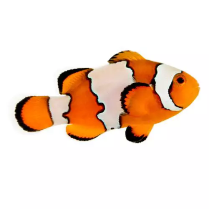 🍩rian || currently failing chemistry tweet media