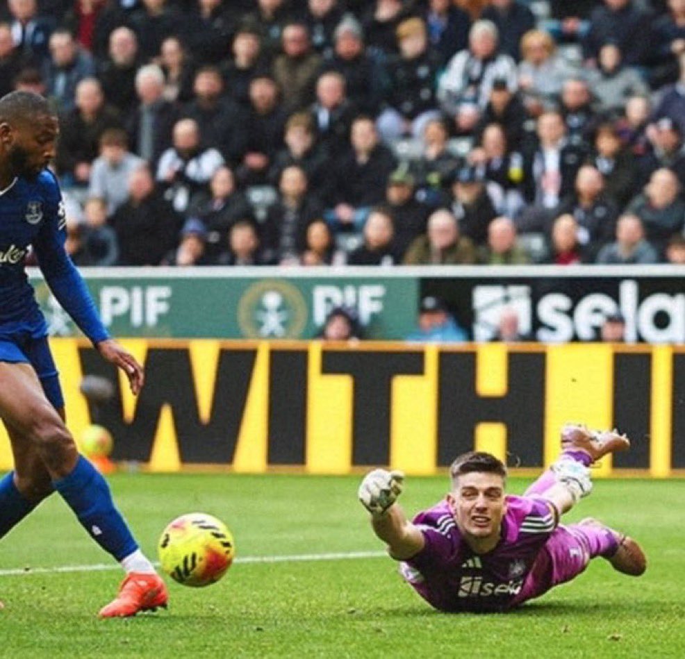 Toon Polls tweet media