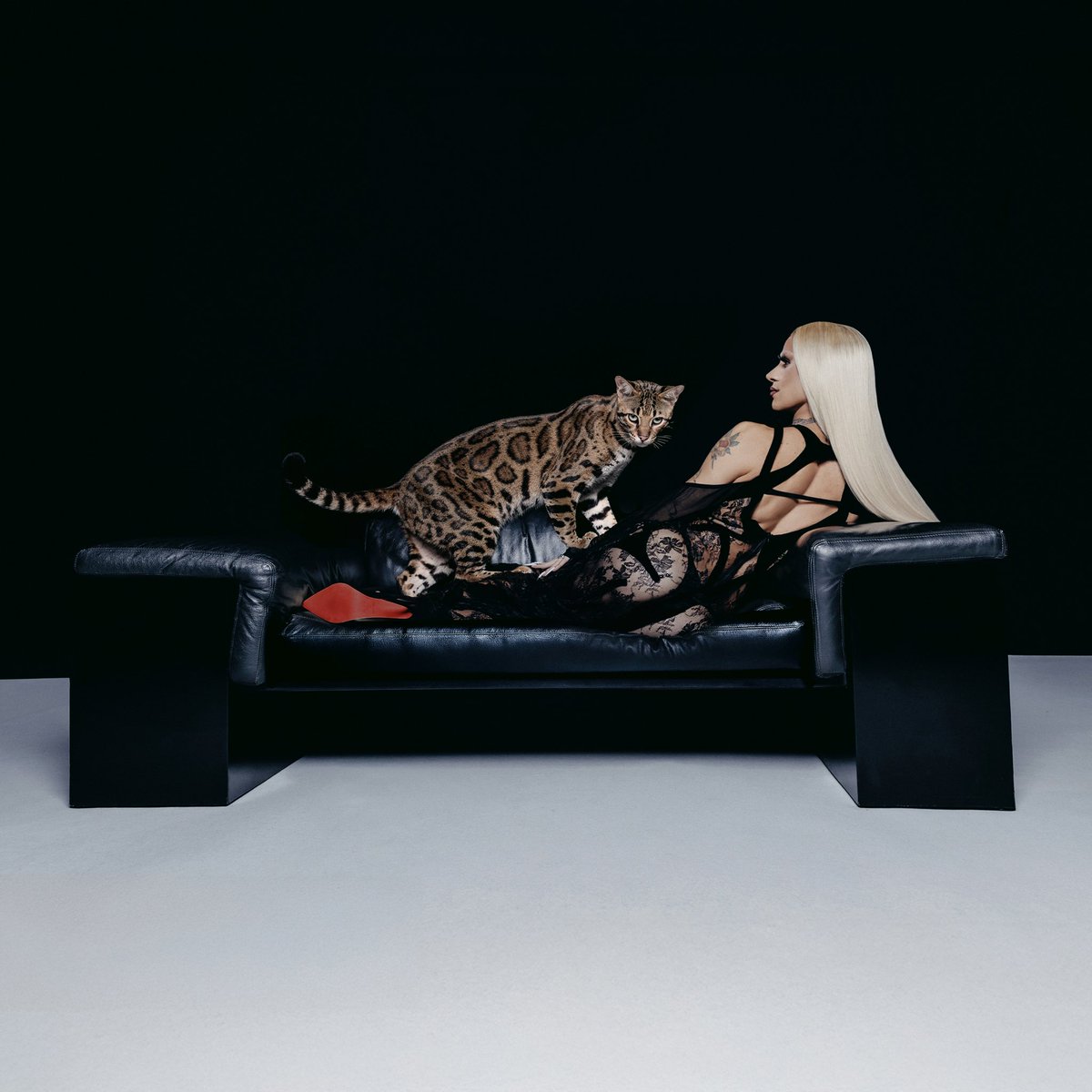 la kayacita tweet media