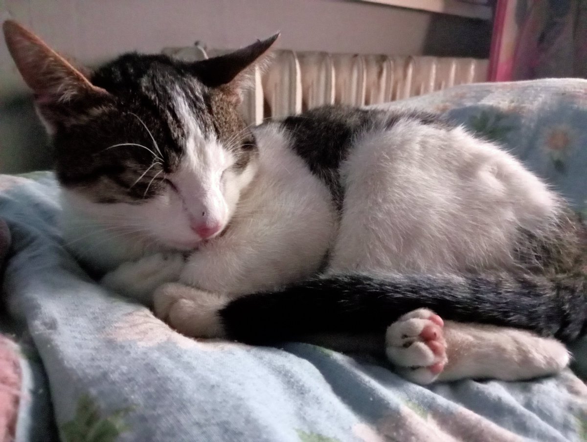 Ewa | VautourLena's child tweet media