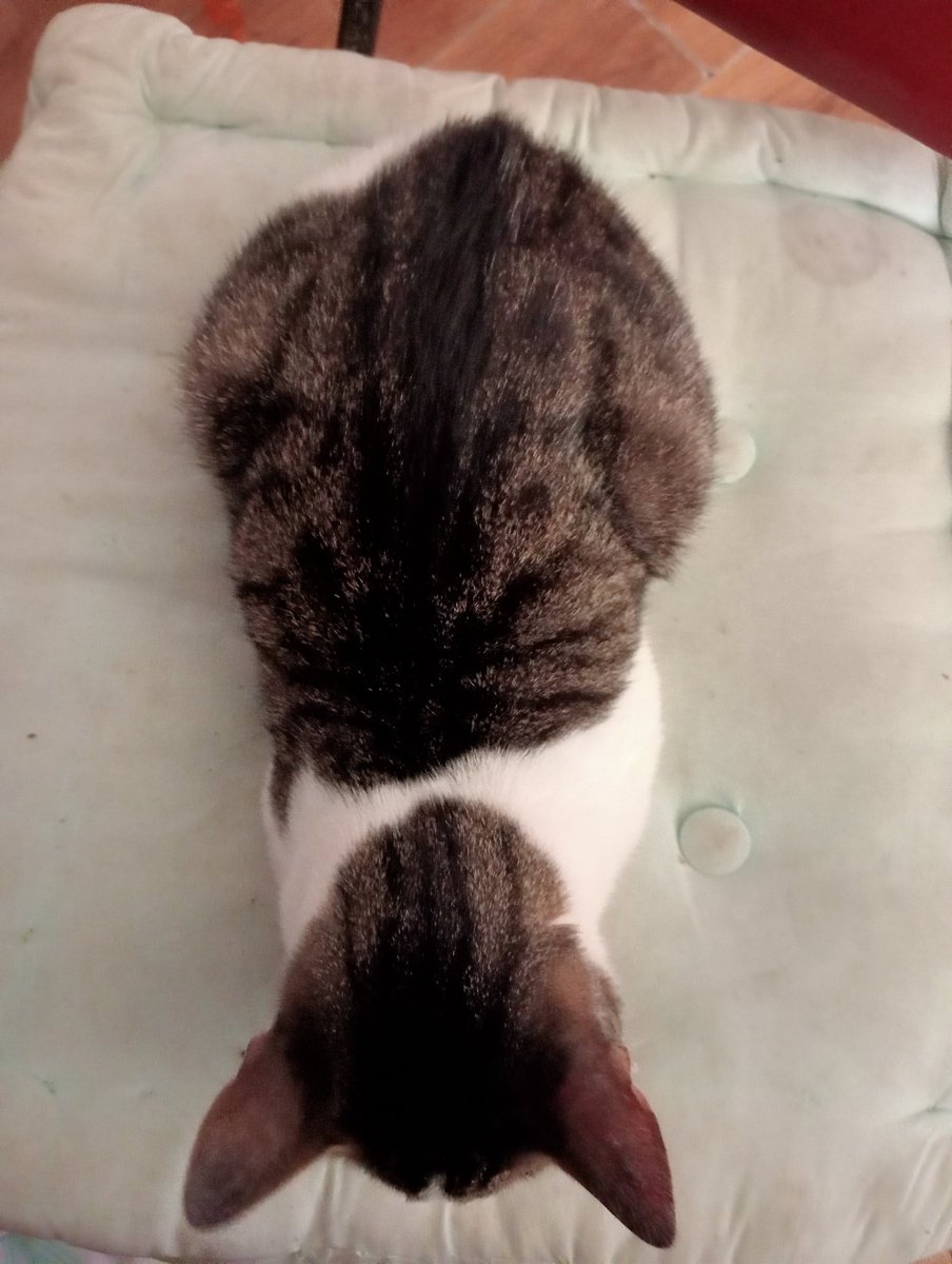 Ewa | VautourLena's child tweet media