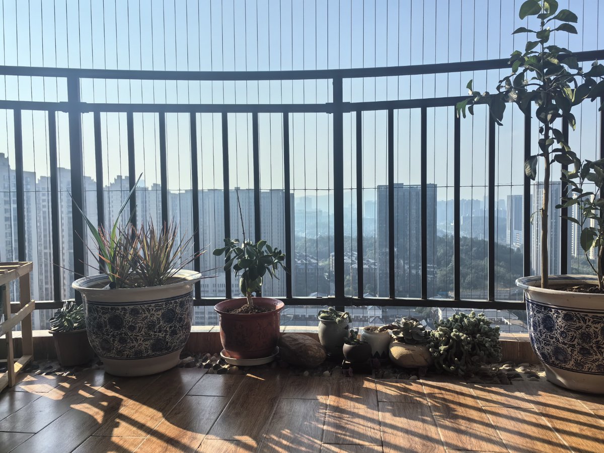 diego cavalieri tweet media