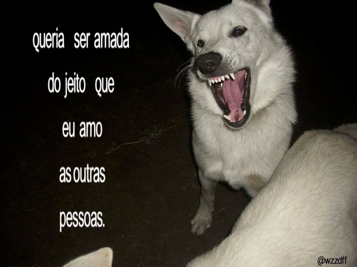 𖤐𝐌𝐀𝐕𝐈_𝐀𝐙𝐀𝐙𝐄𝐋𖤐 tweet media