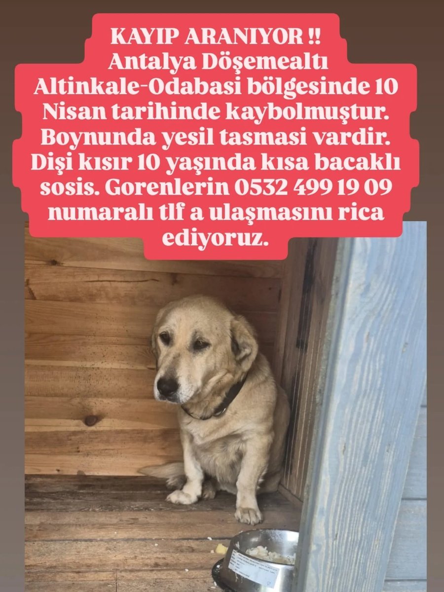 Zülal Kutluer tweet media