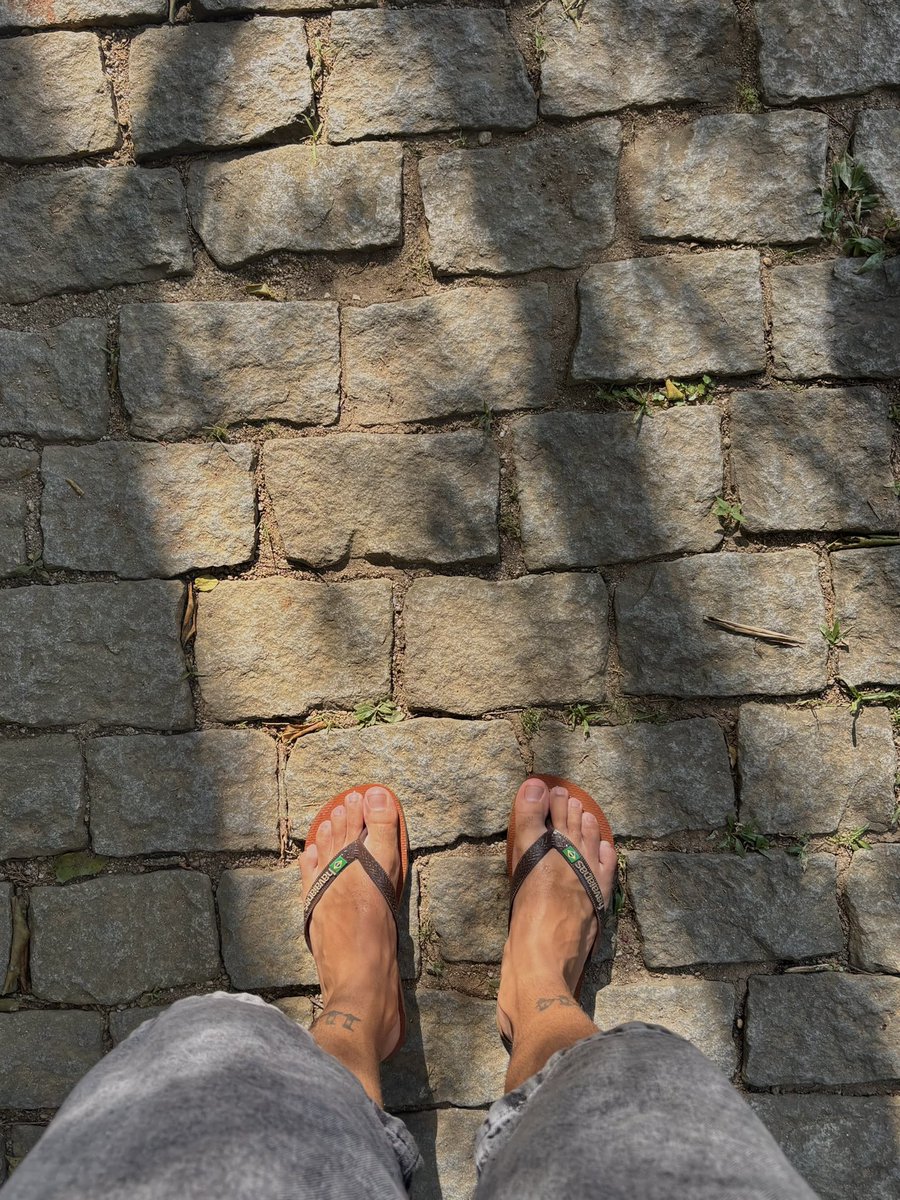 Victor 🇧🇷 tweet media