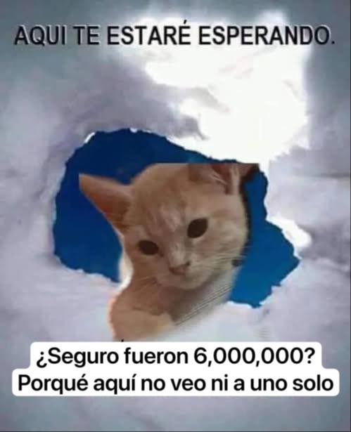 Neo Mexico tweet media