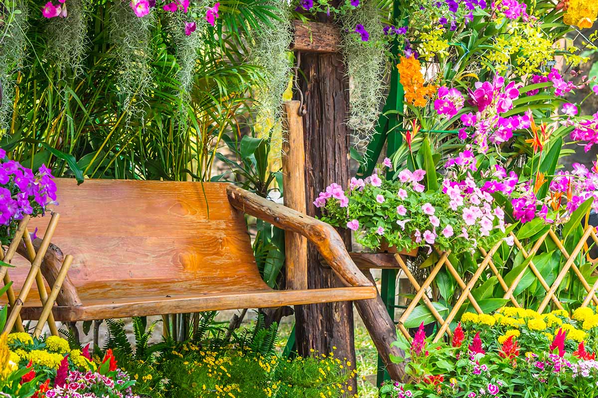 Gardeners_Path_'s tweet image. How to Create a Fragrant Garden Plan - Interested in growing a fragrant garden? Adding aromatic plants helps to promote your well-being by relaxing and refreshing you. Learn how on Gardener's Path. #gardendesign #gardening #gardeningtips gardenerspath.com/how-to/design/…