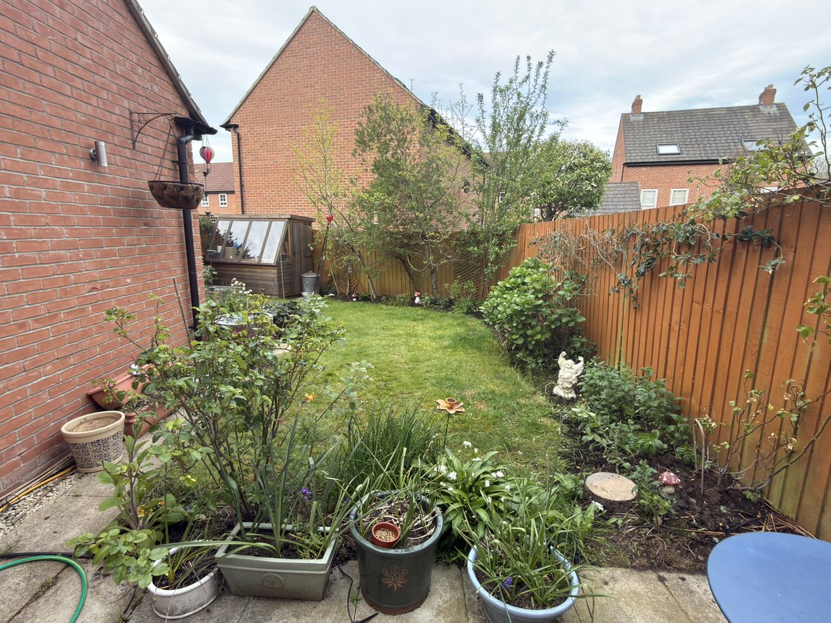 liampcook's tweet image. #Garden is coming along nicely. It’s great for #wellbeing and really nice to see all the #ladybirds