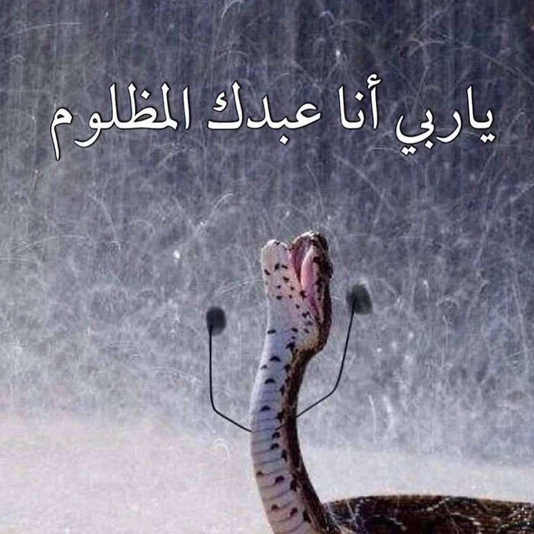 rain24D's tweet photo. #حرق_ون_بيس https://t.co/R828akVH5X