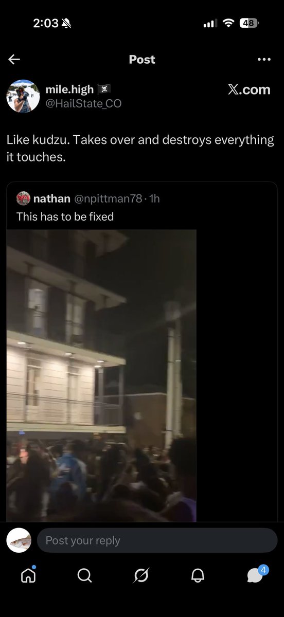 Trout II tweet media