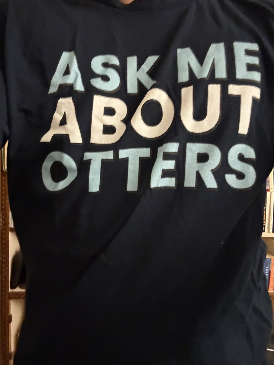 stubborn hockey lesbian tweet media