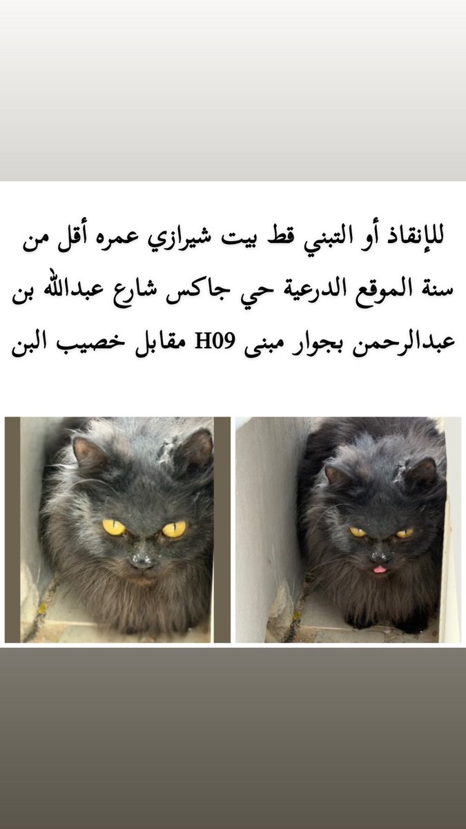 eng_amari's tweet photo. @fatmah_albattal هذا حصلته بتاريخ 8 أبريل https://t.co/lLleuzhabc