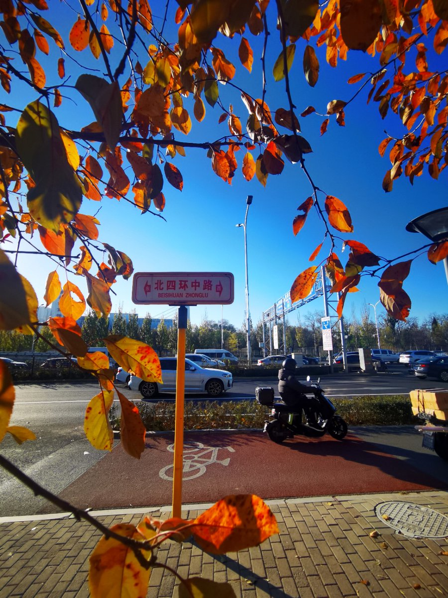 MehmetB54049598's tweet image. "Morning commute win!  Sunlight, a smooth bike ride, and coffee in hand—today’s start feels just right. #BikeLife #CommuteVibes"