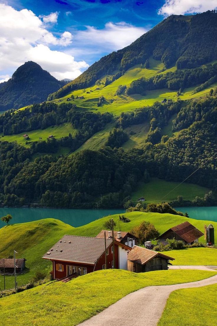 ocean 🌊 tweet media