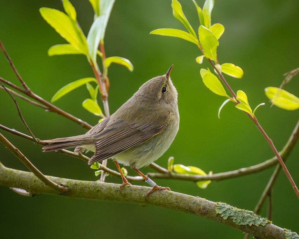 Steve Liptrot Photography tweet media