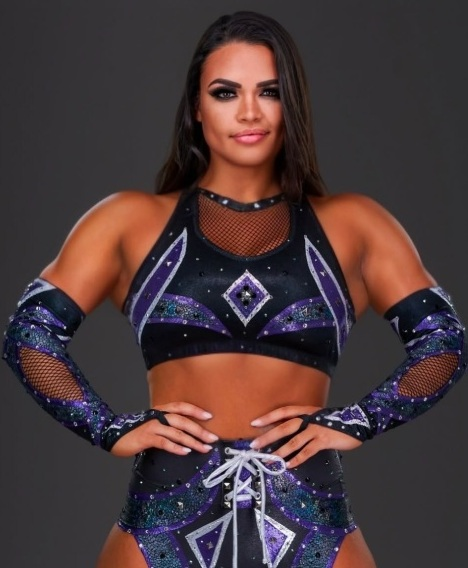 gerweck's tweet image. Updated #NXT roster gerweck.net/nxt-2/