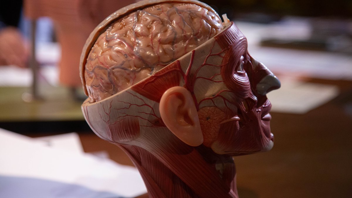 Diego Marañón tweet media