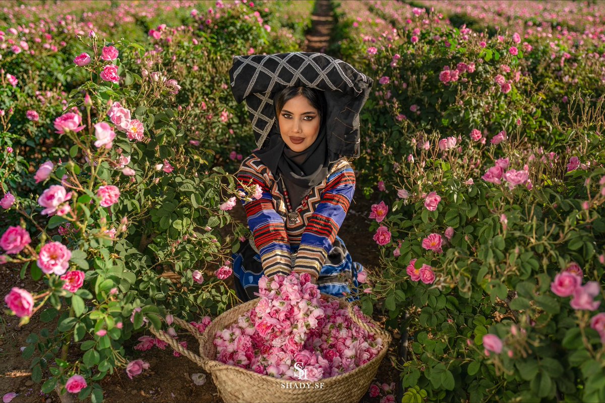 اماني الحميدي 🇸🇦 tweet media