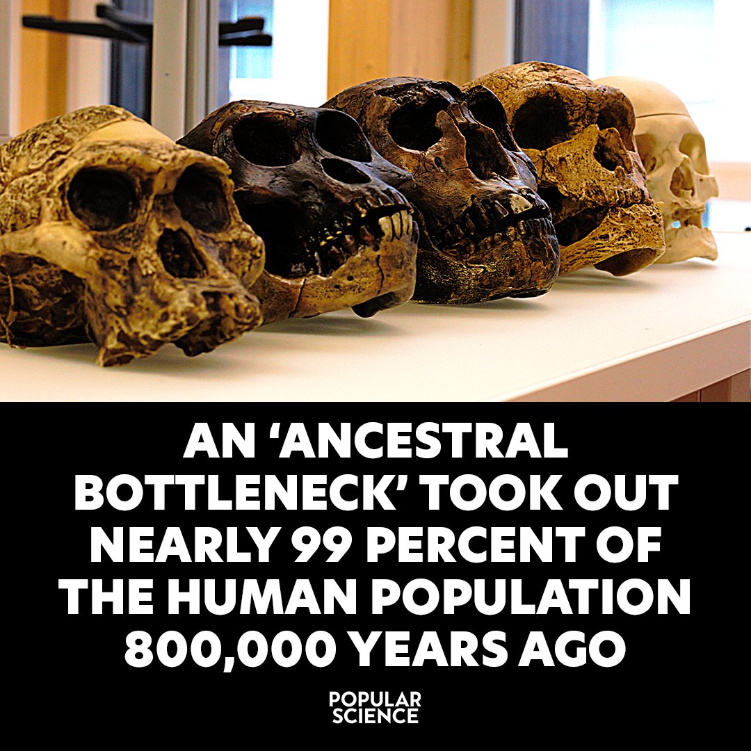 Popular Science tweet media