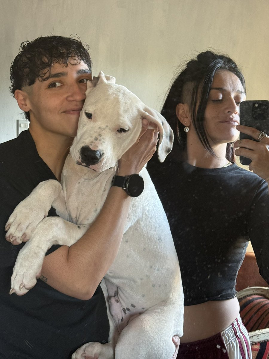 Eliiletcher's tweet image. Uno que va por los 4 meses 🥹💙✨ #perro #dogo