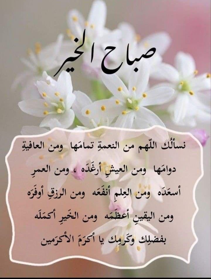 سلمى tweet media