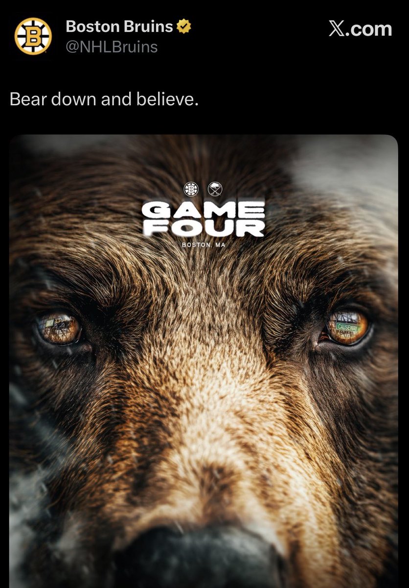 hockey images that precede unfortunate events tweet media