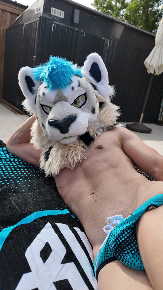 Swifty🔜FWA tweet media