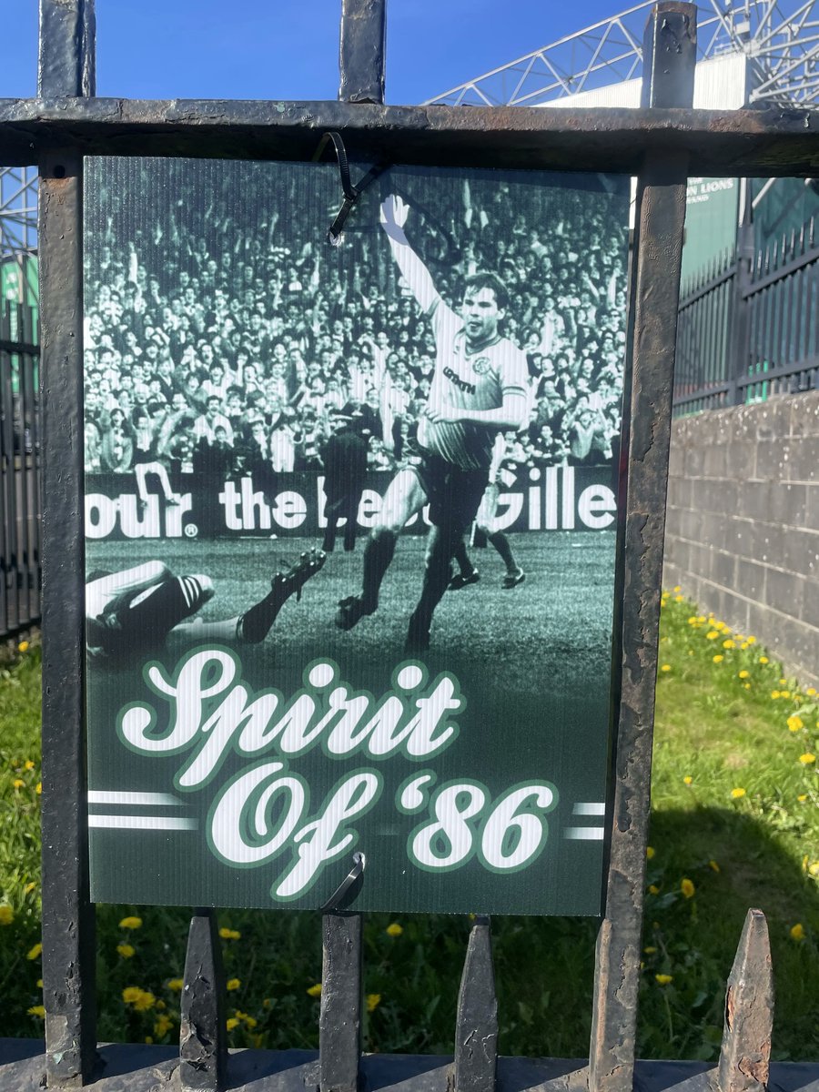 Celtic Curio tweet media