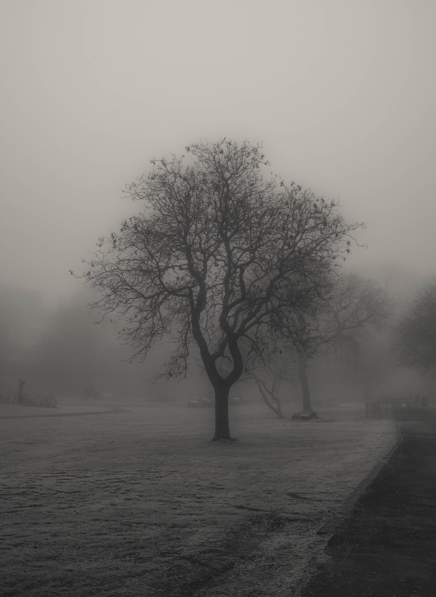 zosphotos's tweet photo. Cold mornings https://t.co/CuEbC6TIAY