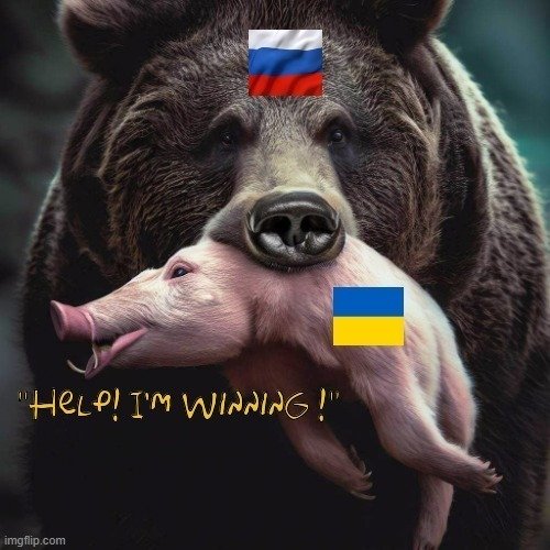 belkinvet 🇷🇺🍻🇧🇷 tweet media