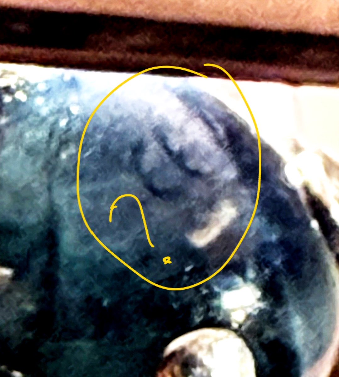 stripteasersha's tweet image. Unexpectable faces in my Saphire. #morgellons indicate that they’re not happy to be at the bright light.