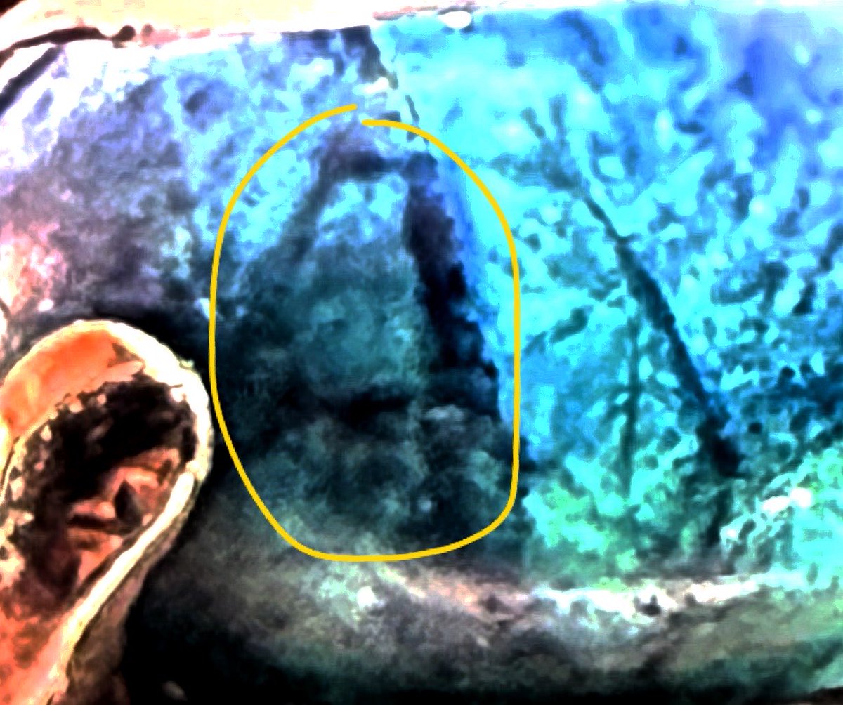 stripteasersha's tweet image. Unexpectable faces in my Saphire. #morgellons indicate that they’re not happy to be at the bright light.