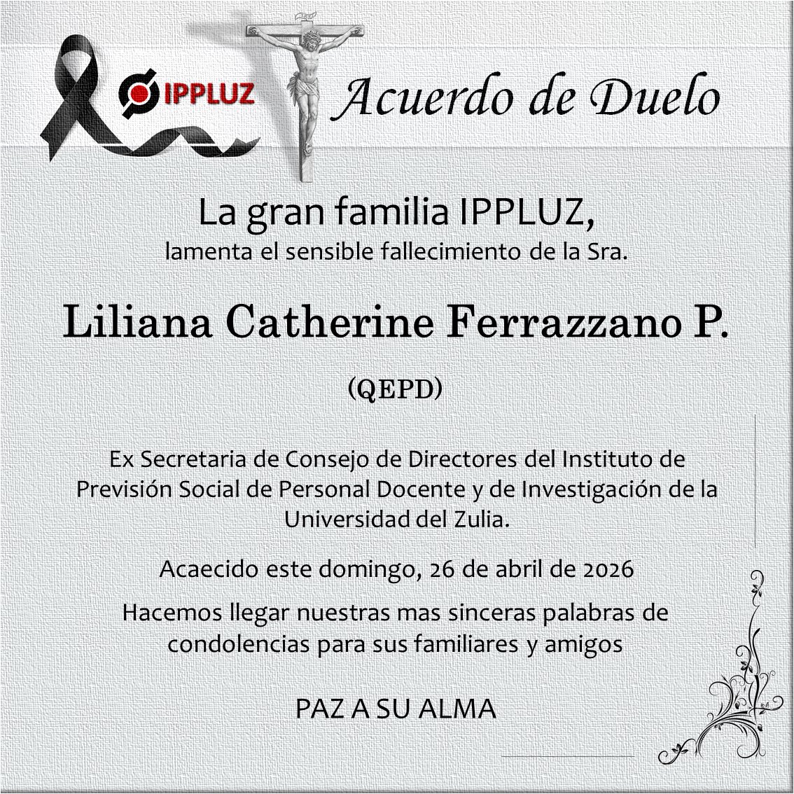 IPPLUZ tweet media