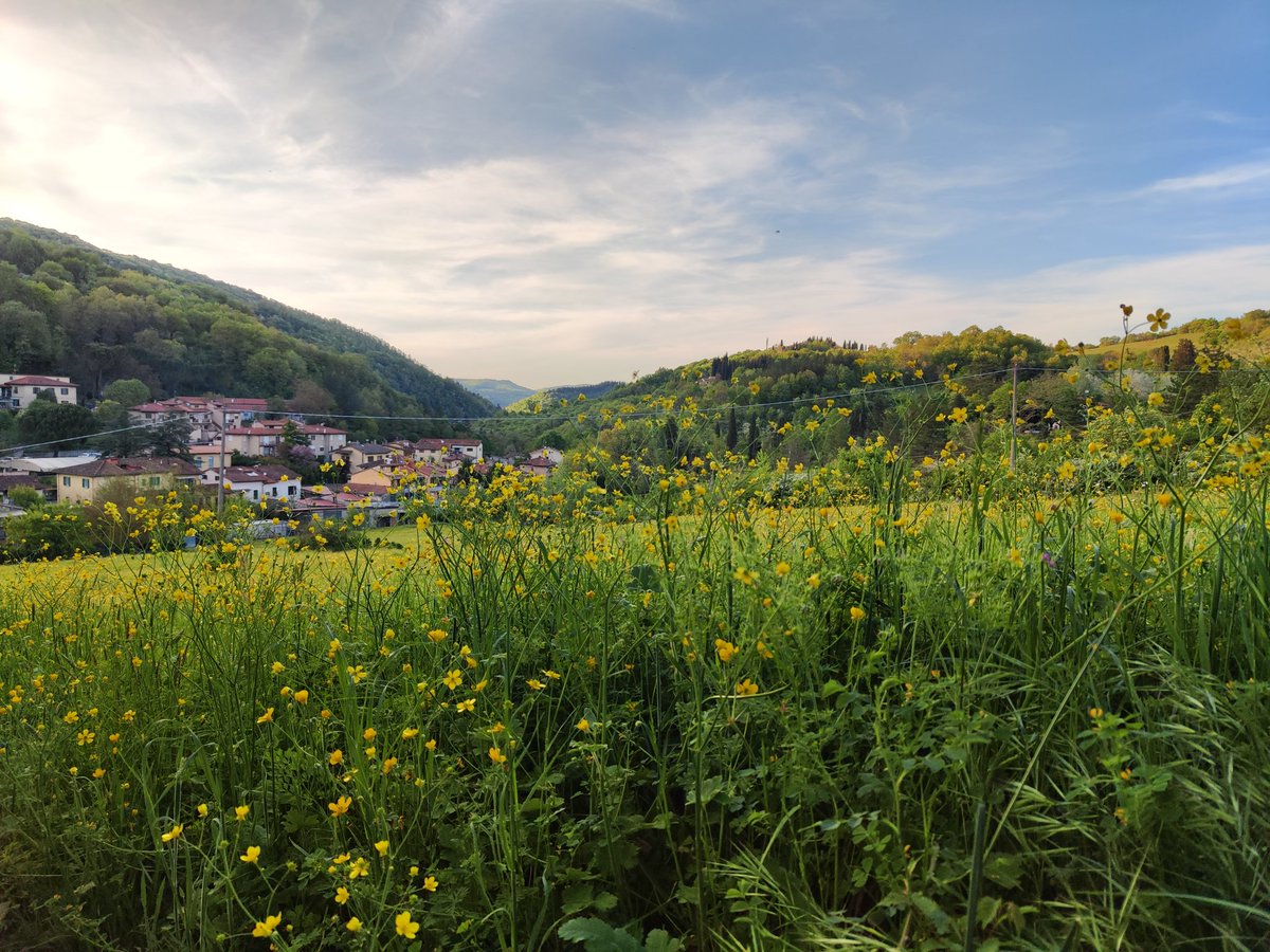 JuriBellucci's tweet image. #domenica #relax #buonaserata