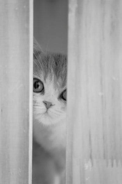 井川奎(Ikawa kei) tweet media