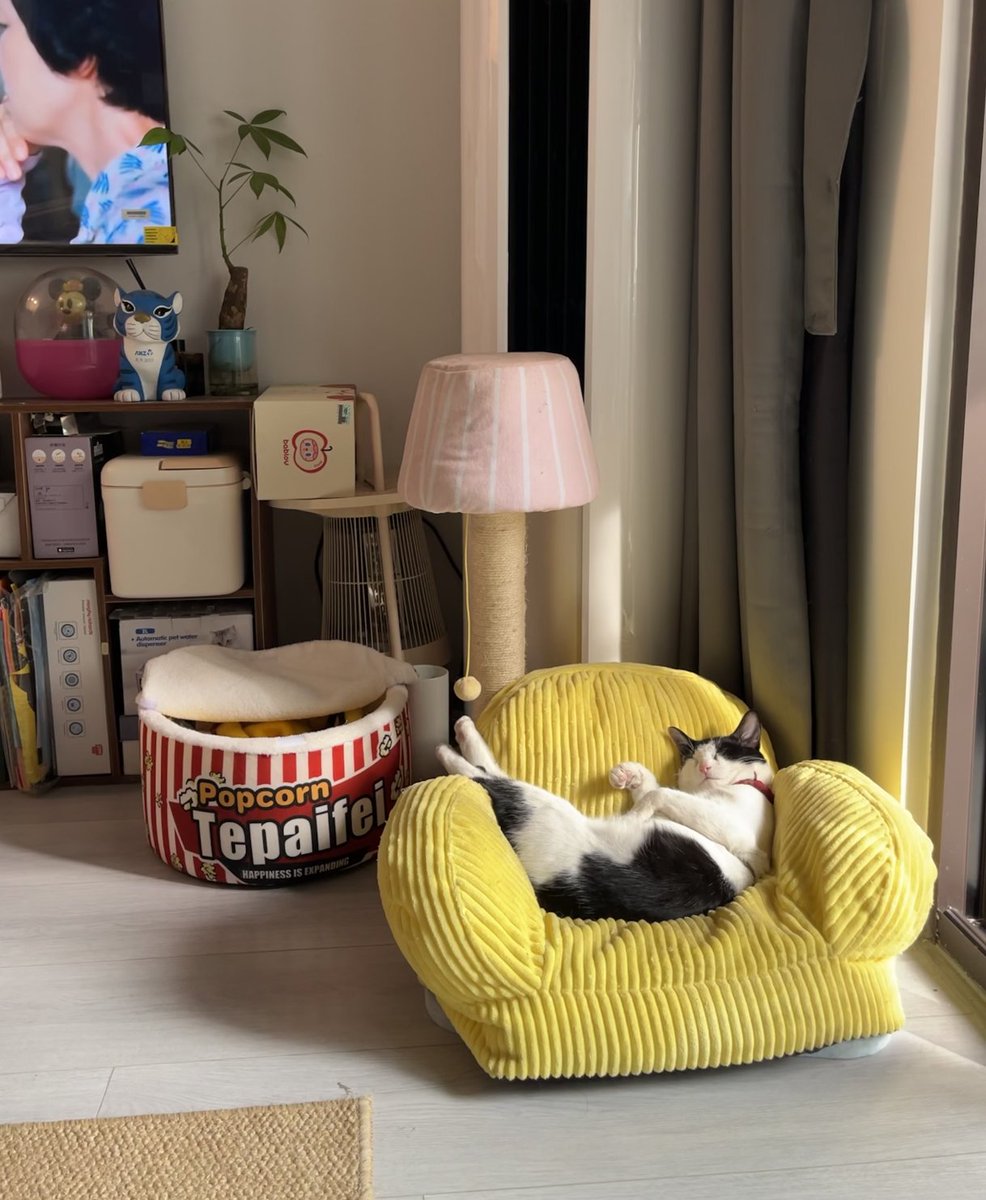 Kathleen tweet media