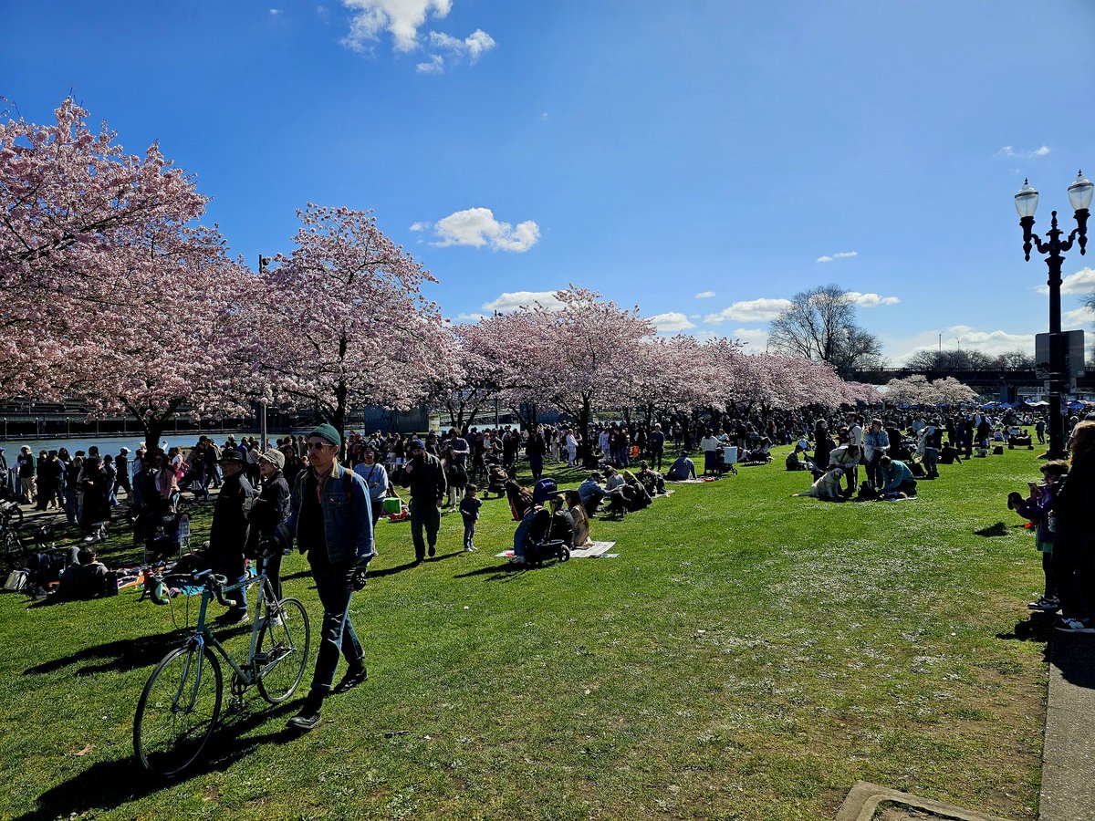 Evan Stravers tweet media