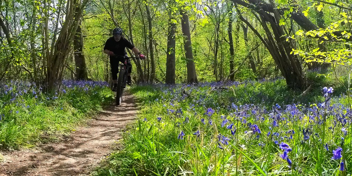 rrrooobbbppp's tweet photo. A Photo A Ride 2026 No.20
#photography #mtb #cycling #mountainbike #forestbathing #shinrinyoku #bluebells #insta360 #darktable #shotcut https://t.co/BtVbyVMrwd