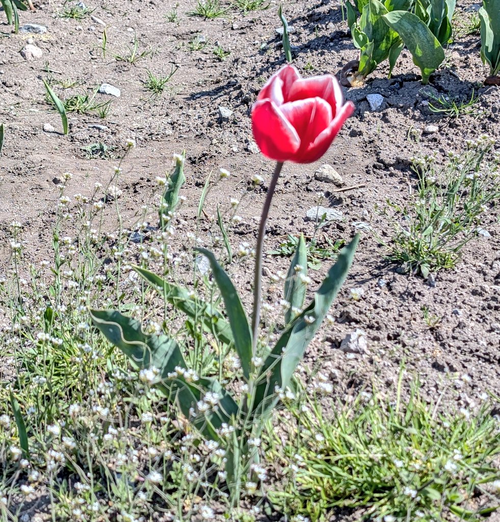 tea 𓂃 ⋆͛*͛ 𓇨𓍌 tweet media