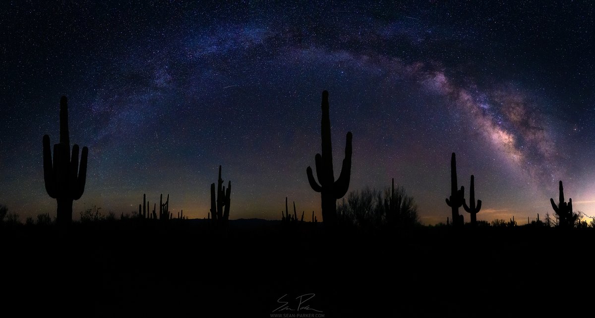 seanparkerphoto's tweet image. Beneath a cathedral of stars, the desert stood silent while the Milky Way painted the sky above Arizona’s ancient giants. #tucson #milkyway #photography #astrophotography